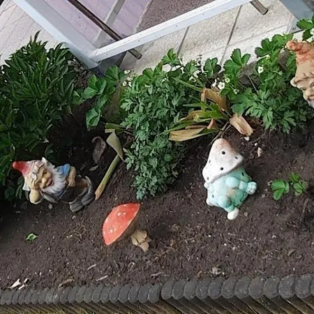 Haus-dannigkow * Dannigkow