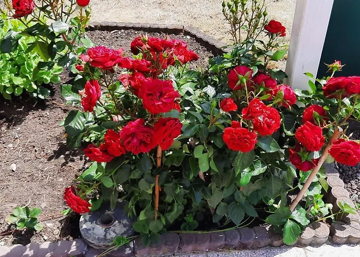 Сasa de vacaciones Haus-dannigkow Dannigkow